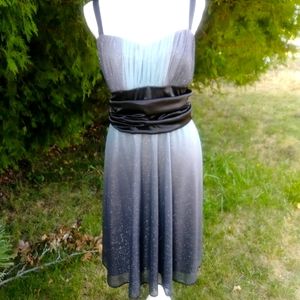 R&M Richards Glitter Knit Party Dress NWT